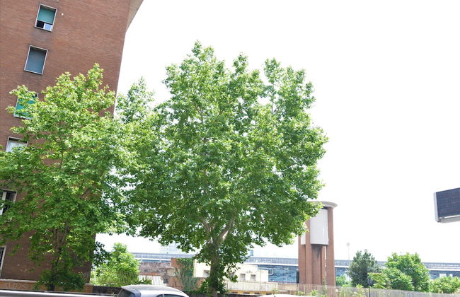 Affittacamere A Casa Mia - Photo 51