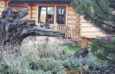 Domki Zielone Skałki - Foto 17