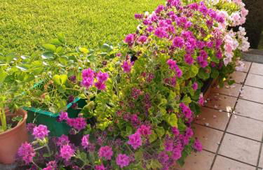 A casa da Piruleta - Foto 28