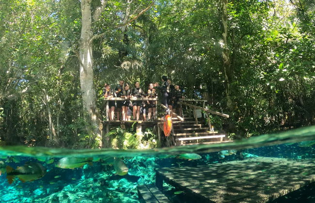 Snorkeling dans la rivière Baía Bonita - Foto 3