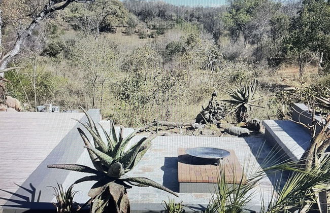 Kruger National Elephant Point Lodge - Foto 52