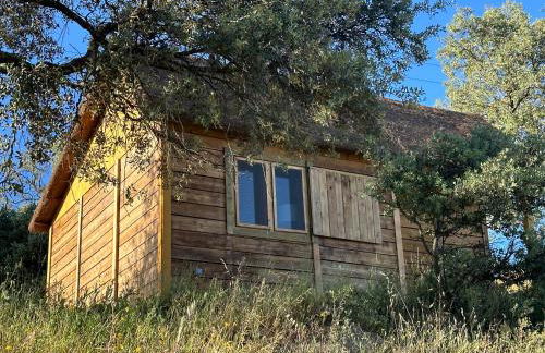 Hamlet's Friends - Foto 7