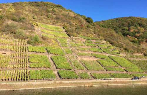 Ferienwohnungen Fuhrmann-Burg - Foto 59