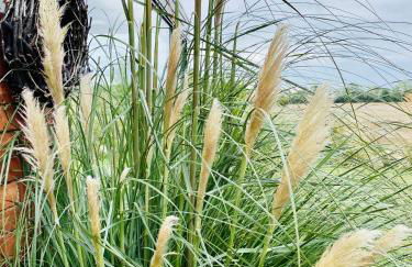 Landlebenliebe - Foto 41