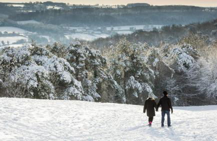 The Organic Cotswolds Shepherds Hut - Photo 70
