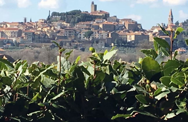 Agriturismo Borgo Santa Lucia, Villa Mimosa - Photo 31