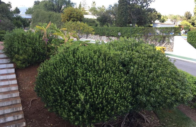 Fascinating & Luxurious Mountain & Pool View Apartment in Porto Banús - Photo 21