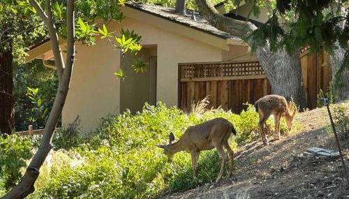 Cozy Home in Saratoga - Foto 4