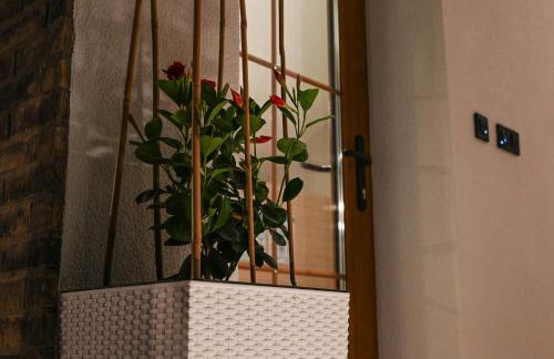 House Wisteria - Foto 52