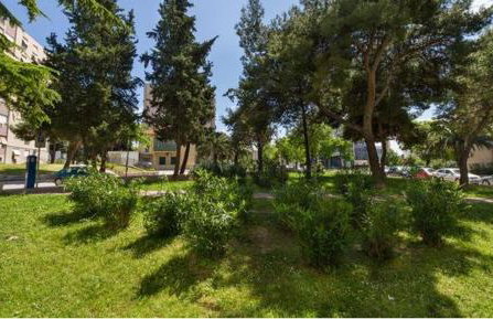 Sunny & Spacious, 2 BR apartment with free parking - Photo 19