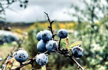 Alojamiento Rural Los Hacheros - Foto 76