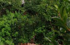 Penelope suite - Photo 57