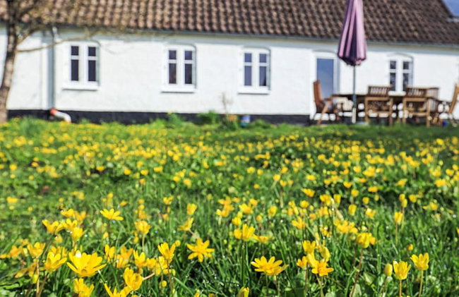 4 Star Holiday Home in Aabybro - Foto 30