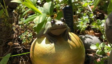 Villa anno 1924 im Dorf - Foto 5, Garden