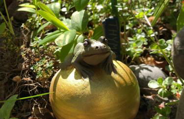 Villa anno 1924 im Dorf - Foto 5