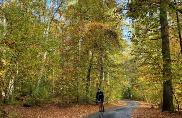 Ferienhaus am Schilfweg mit Kanu - Foto 16