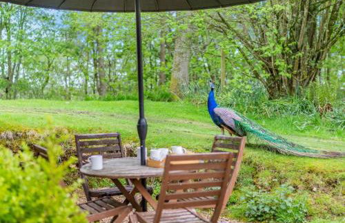 2 Bed in Hexham oc-88032 - Foto 4