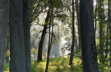 Dom pod Aniołem - Foto 44