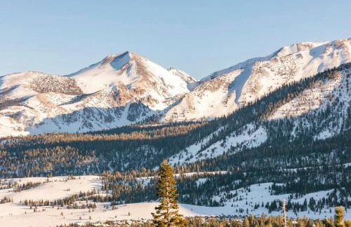 Bridges 210 - Foto 52