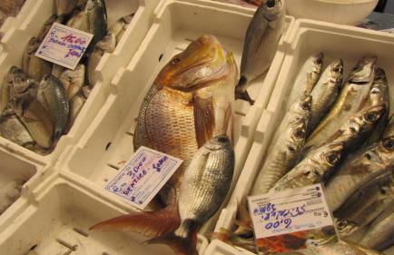 Porto Cesareo Sant'Isidoro Delizioso Trilo - Foto 23