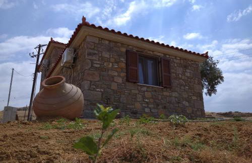 Paliokaliva Home - Foto 18