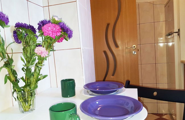 PGS Downtown apartments - Foto 51