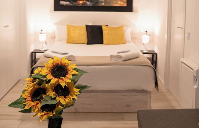 Oshun Plaza Castilla - Foto 5