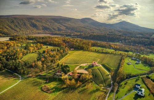 New Listing, Pet Friendly, Hot Tub, Grill, Fire Pit, Bryce Resort - Foto 50