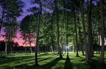 Domki na wodzie Warmińskie Pompeje - Foto 32