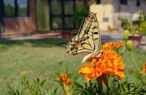 La Fattoressa - Foto 5