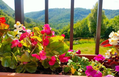 Villa con Piscina 10 Posti Letto, L'Oliveta Di Rivalto - Foto 29
