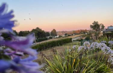 Belle villa à 150m de la plage. - Photo 34