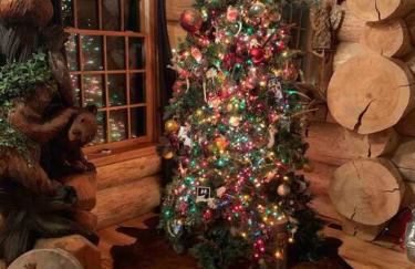 LUXURIOUS TN Mtn Lodge- Sleeps 22+, Hiking & Lake - Photo 5