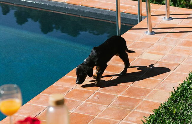 Quinta de Recião - Foto 59