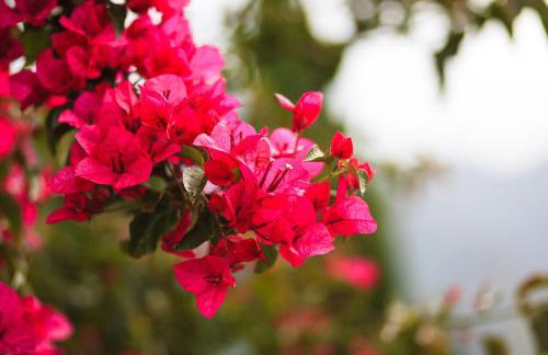 Casa da Portada - Foto 31