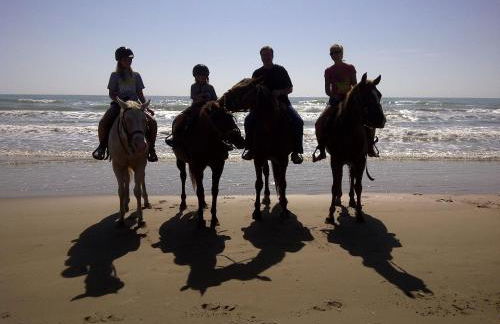 Short Walk to Beach 1 - Foto 9