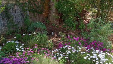 Maison dans une résidence de vacances - Photo 2