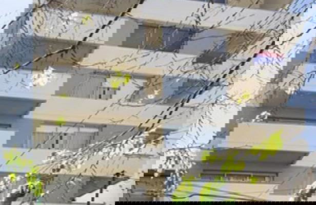 Baires Belgrano by iPPA - Foto 32