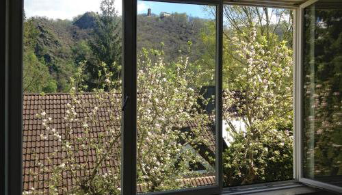 Ferienhaus Baederleiblick - Foto 4, Garden view