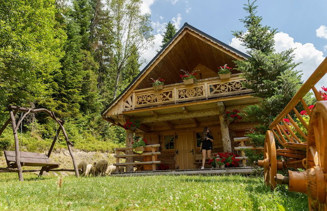 Leśna Bacówka Mountain Chalet - Foto 22