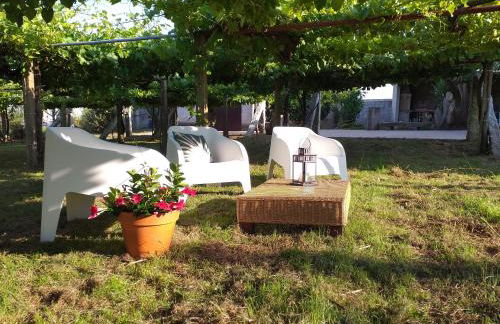 Viña da Igrexa, casa con jardin y barbacoa en cambados - Foto 38