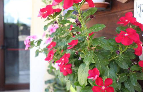 Il Terrazzo sul Sinni - Foto 113