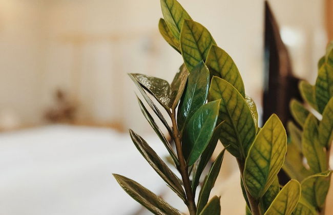 Xom House Bien Ho - Foto 7