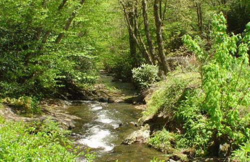 Roaring Creek - Photo 26