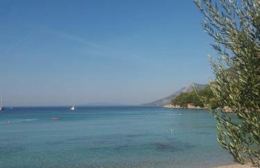 Apartment Jon Zuljana - Foto 7