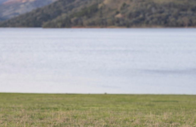 Reflections Grabine Lakeside - Holiday Park - Foto 50