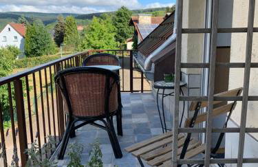 Vintage Apartment WOLF im Wadrilltal - Balkon Garten - Foto 16