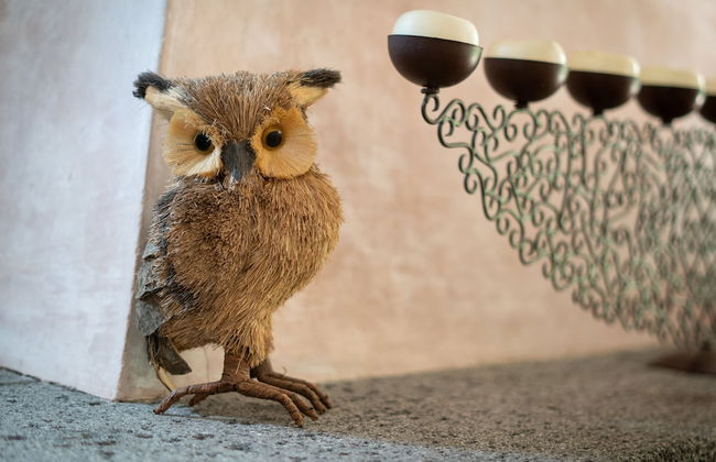 Il Castagno dell'Etna - Foto 39