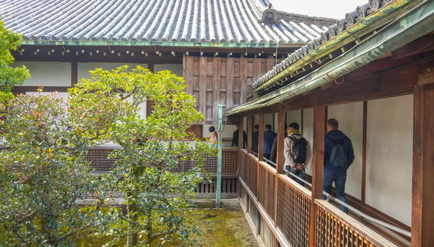 Kyoto Day Trip - Photo 5, Nijo Castle