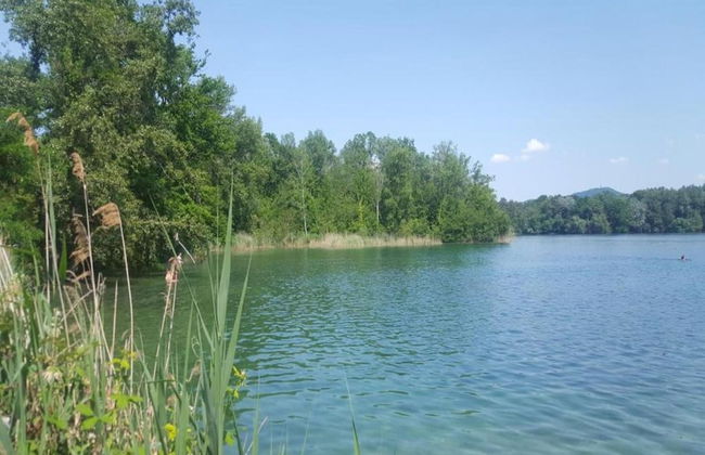 Apartment in Kleines Wiesental - Foto 37